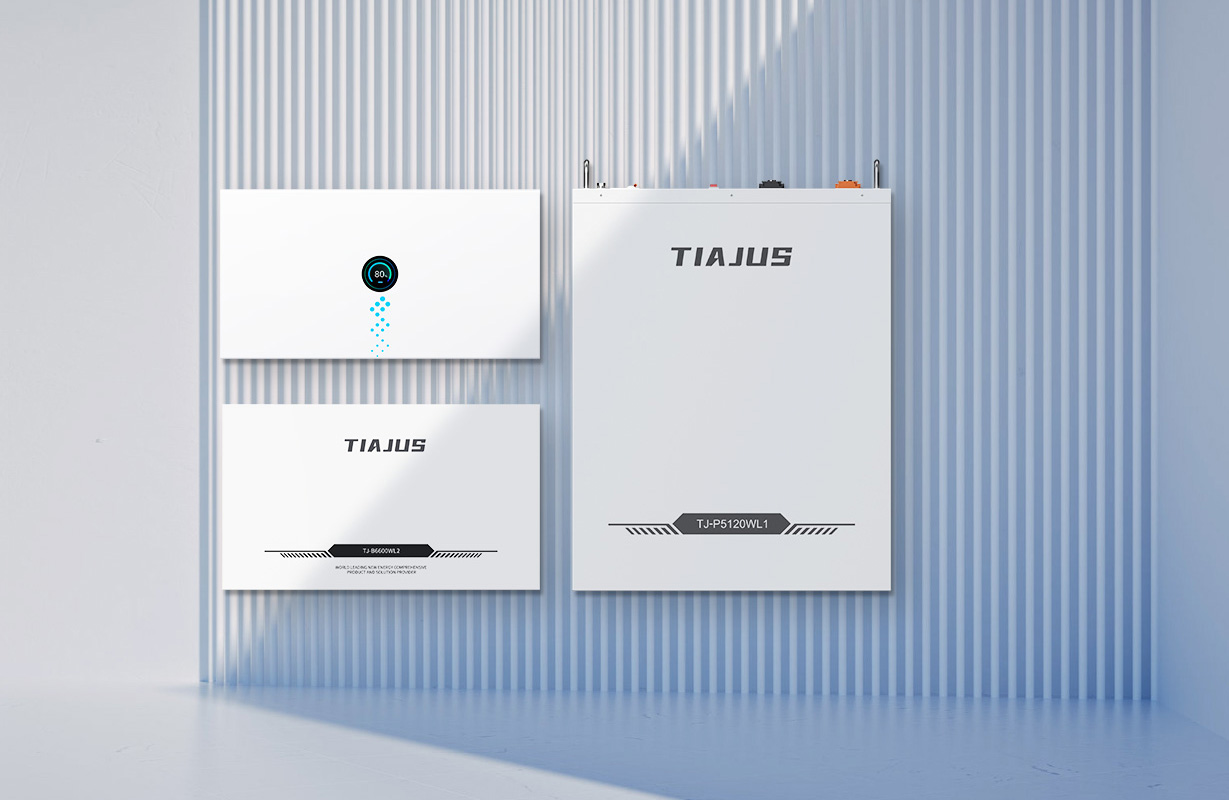 Wall mounted energy storage batt